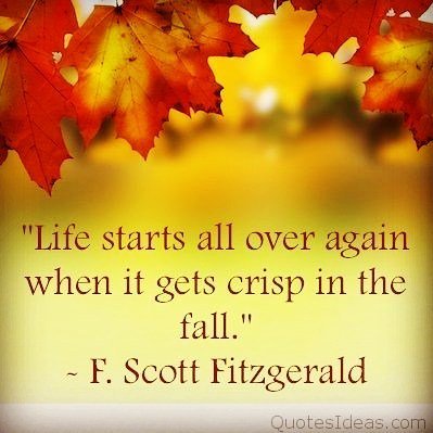 HealthonthegoG's tweet image. Happy September!

#fall #newgoals #gettingbackintoroutine
#getfitfitnesscommunity
#chilly #comfortfoods
#hotdrinks… ift.tt/2vTHQ6R