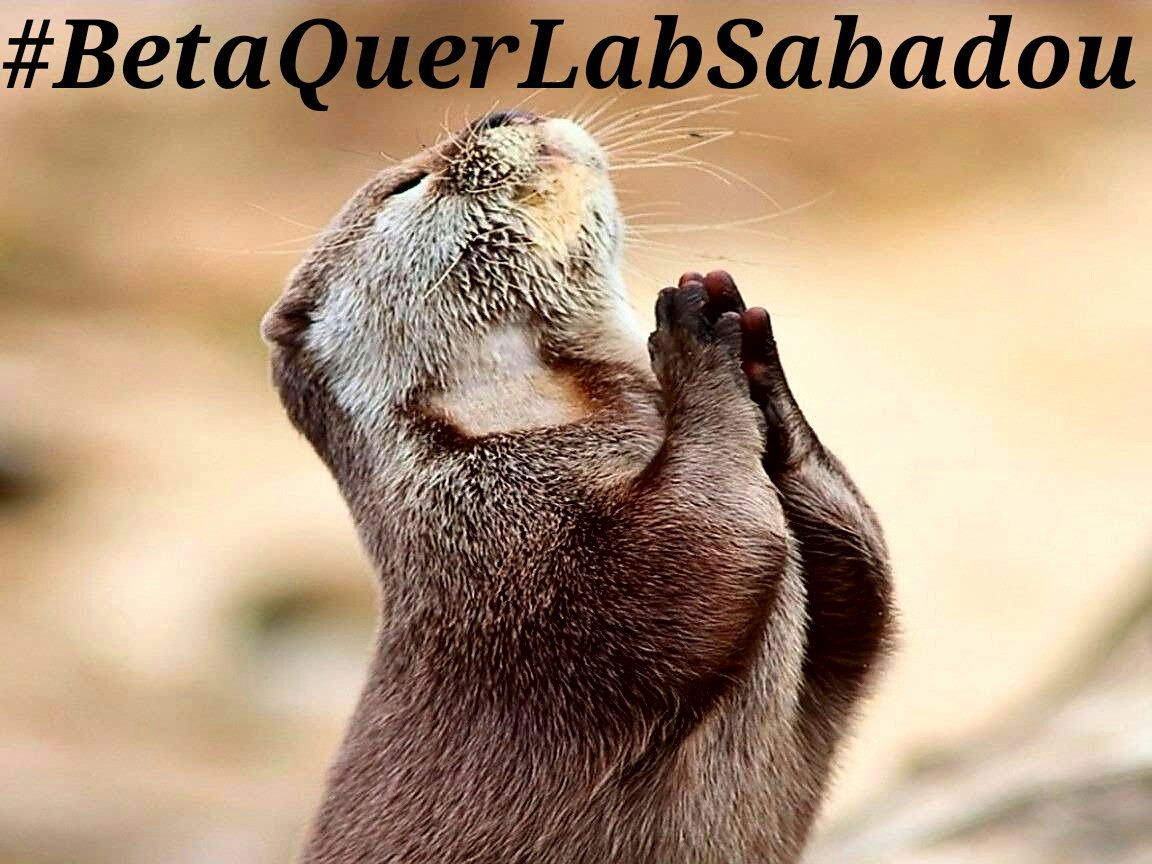 Bom dia, bom dia, bom diaaa!!! O #BetaQuerLabSabadou galera, dia de alegria e descontração. Que o fds de vcs sejam maaara! 💃🙆👏 #BetaQuerLab
