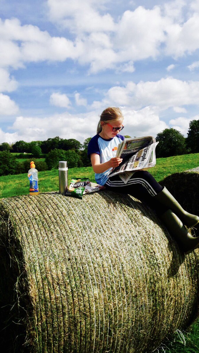 Lydia63519822's tweet photo. @BelTel Sophie Waugh on a break from making bales in Donaghcloney ☀️ https://t.co/ah629kBNJn
