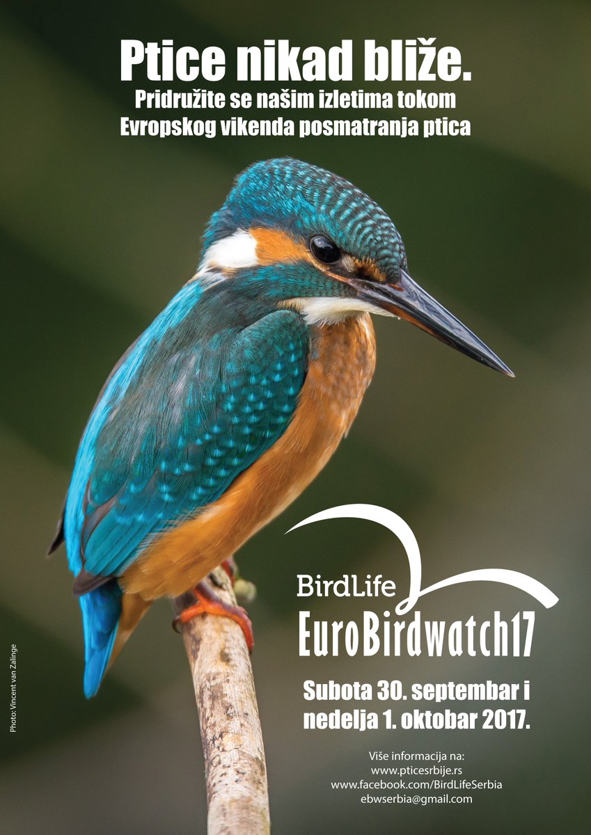 BirdLifeSerbia's tweet photo. Priroda na malo drugačiji način. :)
Uskoro više detalja.
#EBW17 https://t.co/bTll3FRz63