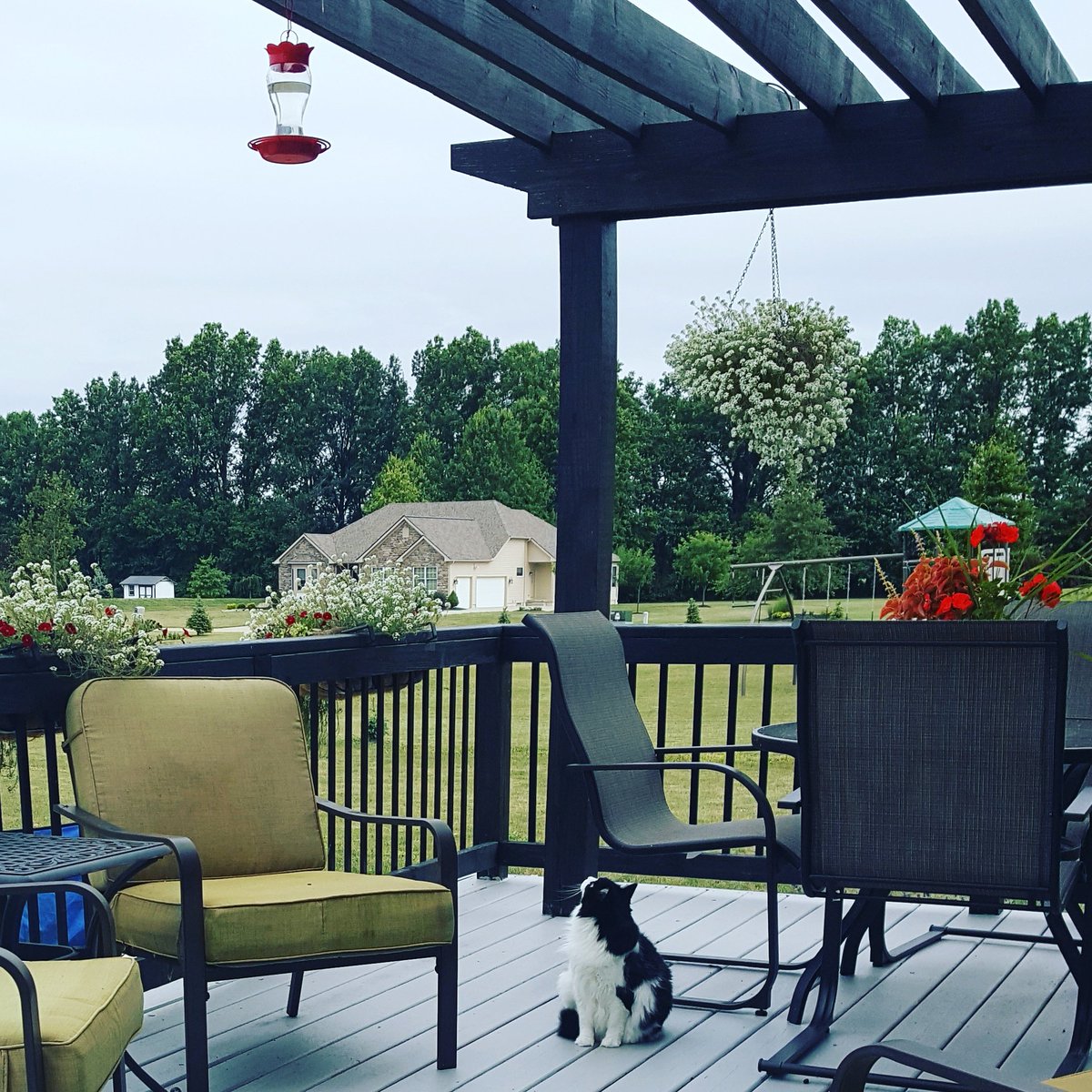 HomeInspectCLE's tweet photo. I'm not the only one who enjoys watching the #hummingbirds #rubyproblems #tooshort https://t.co/j3Cu7TD2mk