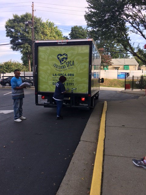 activepawscincy's tweet photo. Atlanta Humane Society takes in animals from Louisiana #louisiana #texas #hurricane #harvey #pets #pet #dog #dogs https://t.co/fmMIiCnsDh https://t.co/FeTcZNIRUq