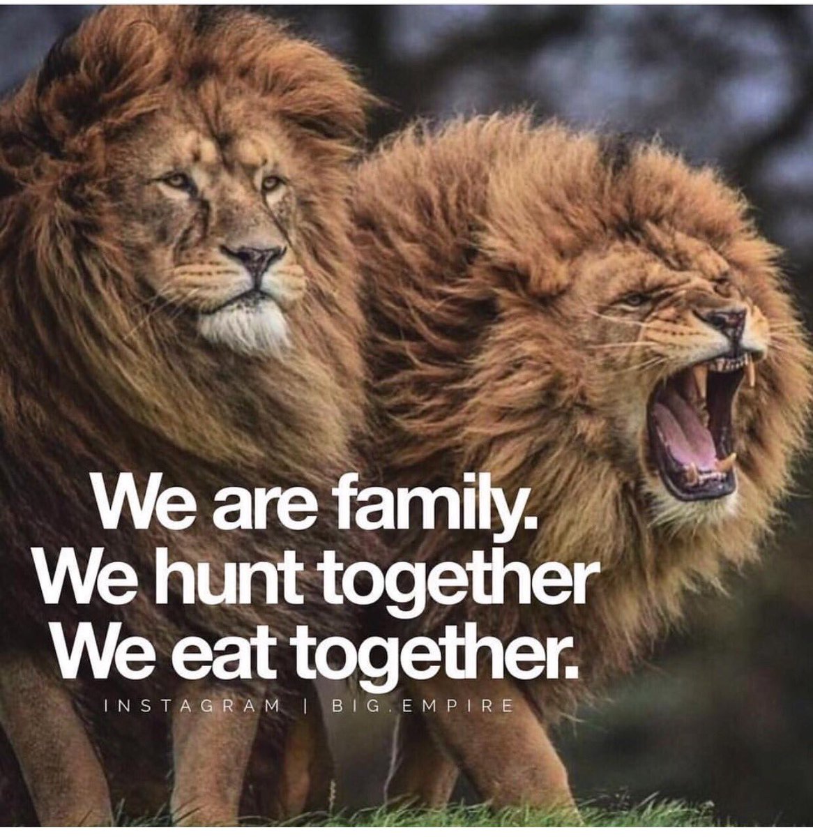 Dulaneyftball's tweet photo. IT'S GAMEDAY โผ๏ธ 1pm @ Mervoโผ๏ธ please come out and support your lions โผ๏ธ #EverybodyorNobody #weallwegot https://t.co/SMkL5nwlck