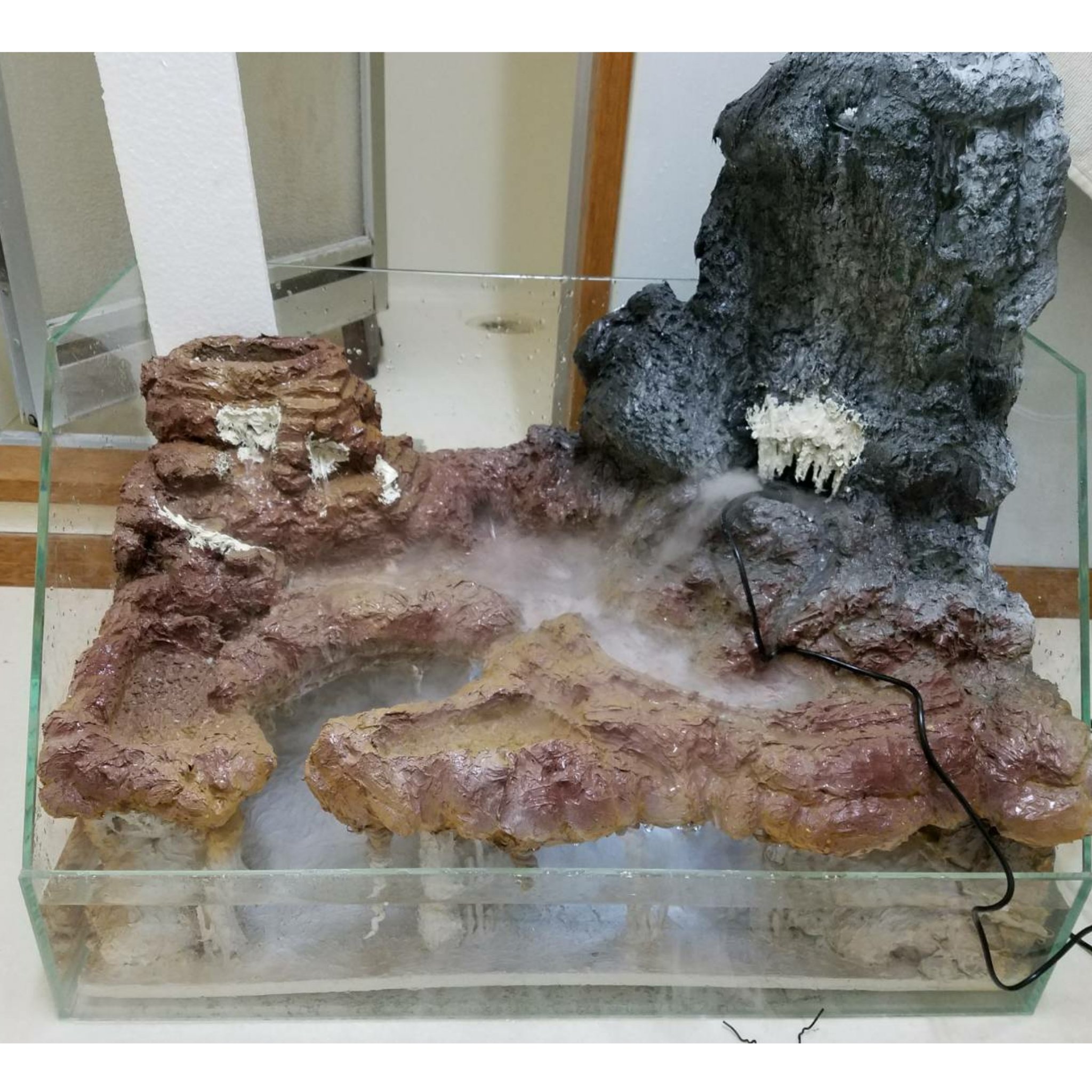 How Drunkard En Twitter 水槽立ち上げ 何の魚飼おうかな アクアテラリウム アクアリウム テラリウム 水槽 熱帯魚 苔 コケリウム ジオラマ 青の洞窟 魚 Aquaterrarium Aqua Terrarium Aquarium Fish レイアウト T Co Xwexvutqsc