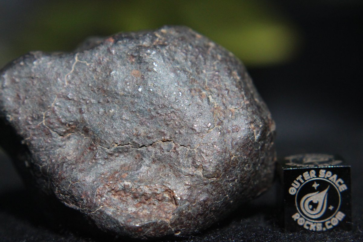 OuterSpaceRocks's tweet photo. #Meteorite 70.7g Individual with AMAZING #FusionCrust the #Matrix reveals #Chondrules Metal #ShockFeatures discovered 2017 #OuterSpaceRocks https://t.co/aUgxzxgZcI