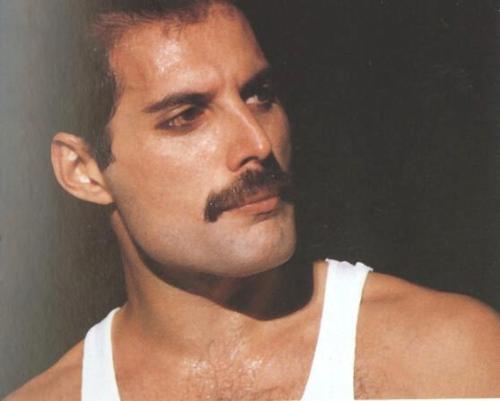dekipema's tweet photo. No one but you #WorldBeardDay #freddiemercury https://t.co/Q6jJEg8nLB