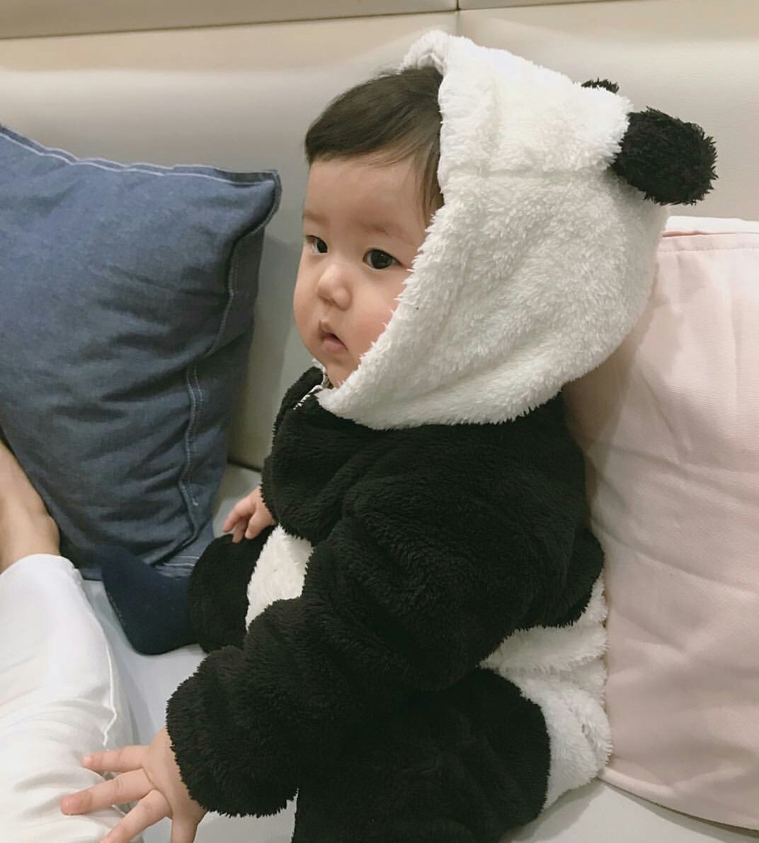 194CHR's tweet photo. 🐼 · Achei uma pandinha hoje aqui em casa. https://t.co/DvgvYroxVX