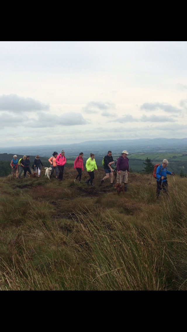 AoifeSynnott's tweet photo. Our second @ULHospitals sports and social club outing- a great success. @HealthyIreland @lauratobin100 @colettecowan1 https://t.co/RYM1wO1ulF