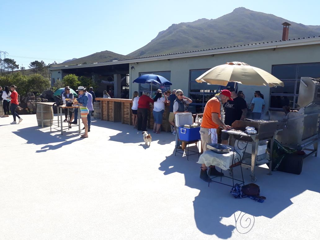 WittyWineWoman's tweet photo. Just arrived at @LudditeWines for @BotRiverWines #BotSpring2017 https://t.co/dlBxijRlNj
