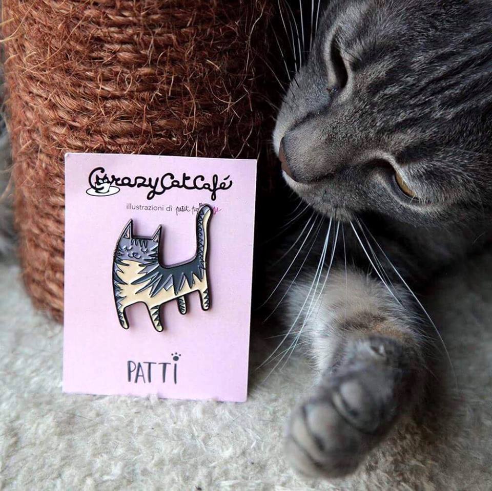 Festival dei Gatti tweet media