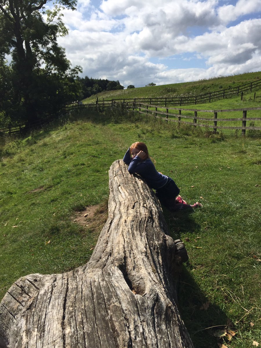 41feasts's tweet photo. Contemplating stuff in the sunshine (in long sleeves, vest & tights...) #herownpath https://t.co/QWjvTartHZ