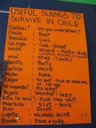 kammelkaren's tweet photo. #EsMuyChilensis tratar de enseñarle chilenismos a los gringos https://t.co/ouJSOtW0vs