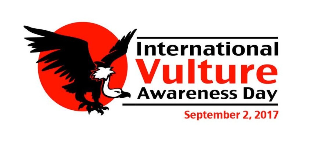 eagle_trust's tweet photo. Today is #IVAD2017 - let's all take a moment to remember the importance of scavenging birds! 

https://t.co/SrF84nPbcd https://t.co/3ACyzDexvH