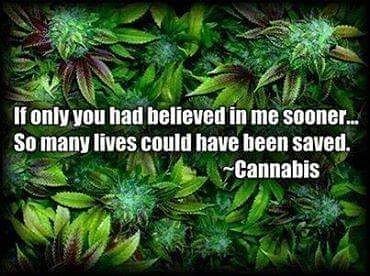 Tina Paxton (@paxtontina) on Twitter photo 