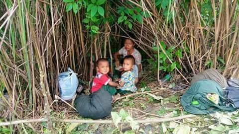 #Human_Right 
The truth is still leans falsehoods being violent world, and we've actually Rakhine truth is covered by the media's eye

#yms