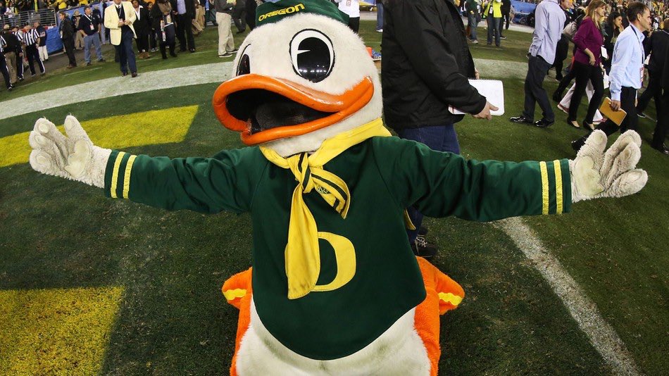 tweetaburger's tweet photo. BABE! I missed you. #GoDucks https://t.co/Q8ySTwbkqb