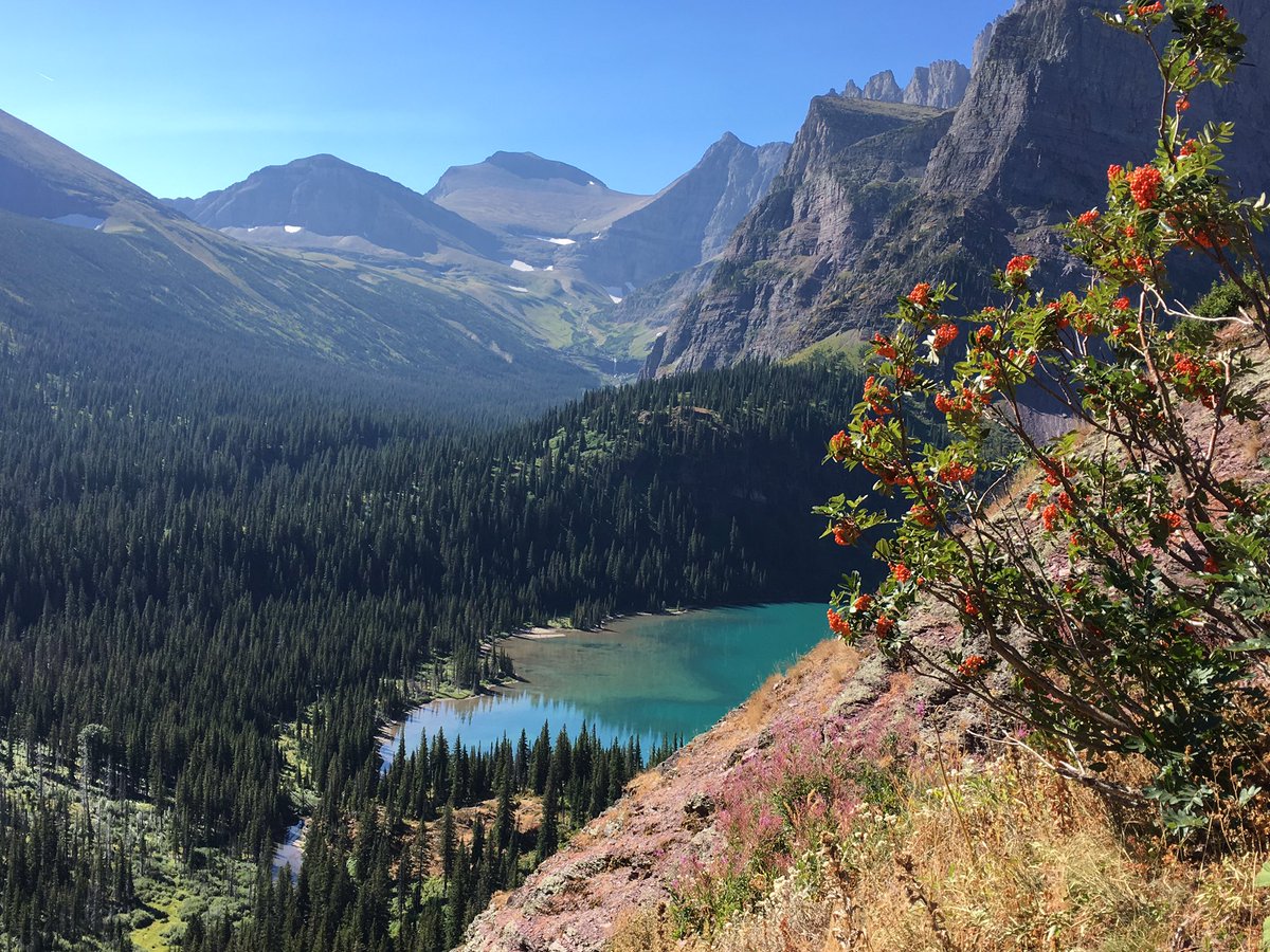 Just got back from another awesome adventure #wanderlust #glacier #whereshouldigonext