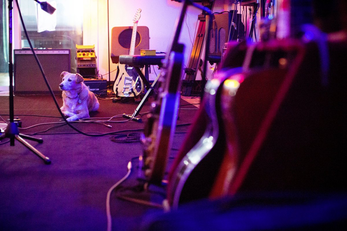 NatRecStudio's tweet image. Abby