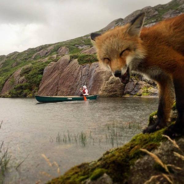 Swift_Canoe's tweet image. Watching someone paddle solo into the wind isn't THAT funny... #Saturdaymorninghumor #longweekend #paddlehard