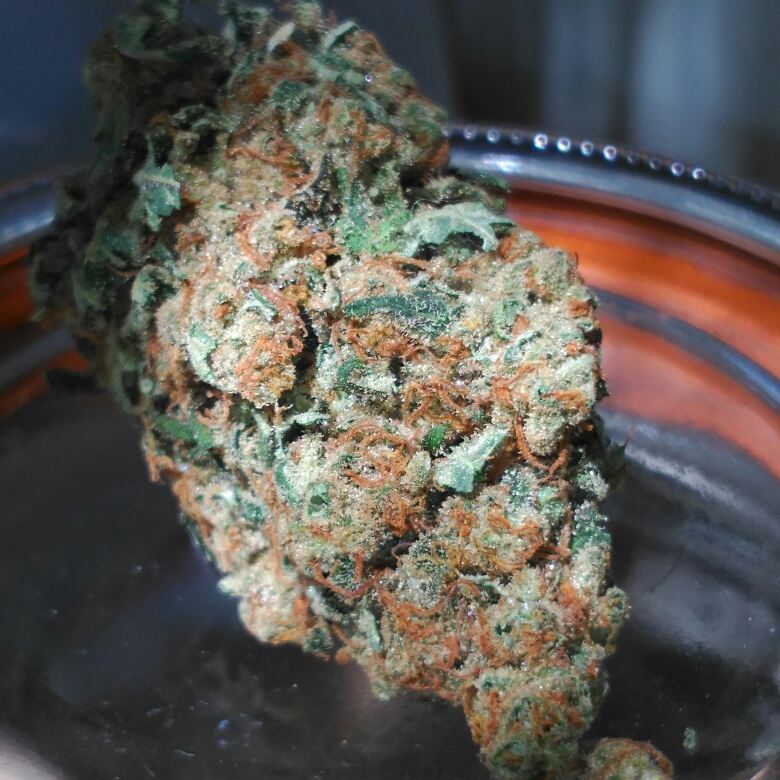 Solo_Weed's tweet photo. Lemon cheese de Heavyweightseeds https://t.co/cCNp7V3kP8
