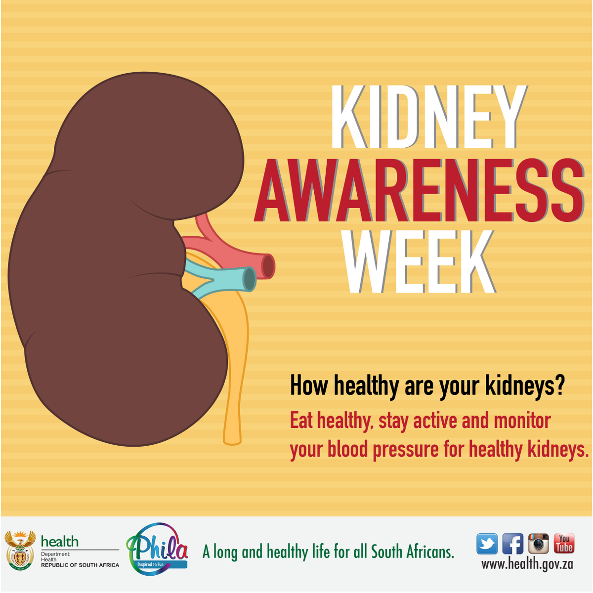 HealthZA's tweet photo. 2-6 September is #KidneyAwareness week that focuses on the function &amp; health of kidneys &amp; the role of the kidneys in everyday life. ^eN5 https://t.co/rP6Q1h2I2E
