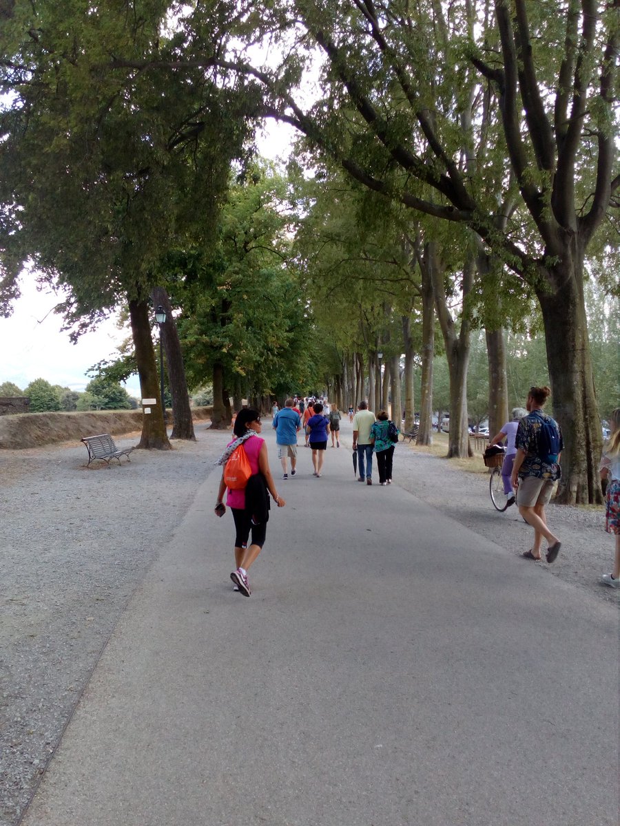 InTuscanyLuxury's tweet photo. Percorso circolare delle mura di #lucca, 4 km immersi nella storia #tuscany #sabato #summer #intuscany #2settembre https://t.co/3dEX1TuJFq https://t.co/Xk01gDFpYb