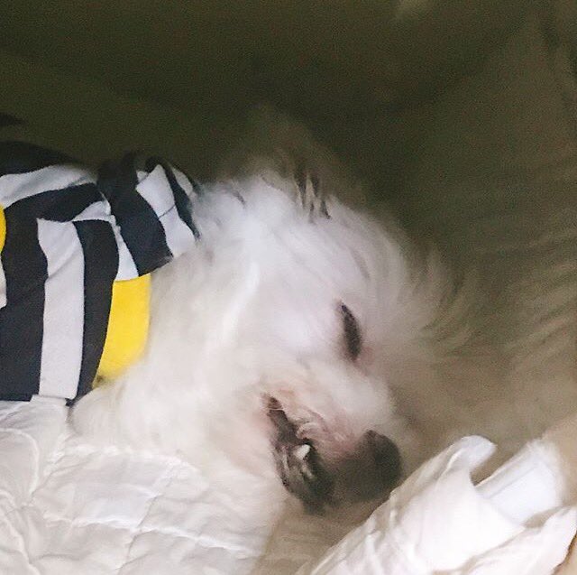 ㅋㅋ 귀여워