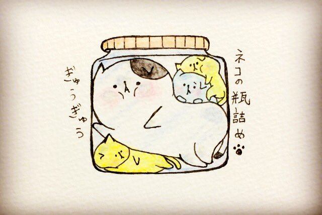 おこにゃん ネコの瓶詰め 瓶詰め ぎゅうぎゅう 猫 ネコ ねこ イラスト 可愛い 1日1絵 癒し 手描き 絵描きさんと繋がりたい イラスト好きな人と繋がりたい 絵描き人 Cats T Co L4dlvlile8 Twitter