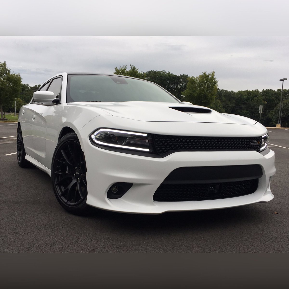 KJWDetailing's tweet photo. #Dodge #Charger #ScatPack protected with #OptiCoatProPlus! #mopar #musclecar #autodetailing #southjersey #nj https://t.co/PRqT11Mqob