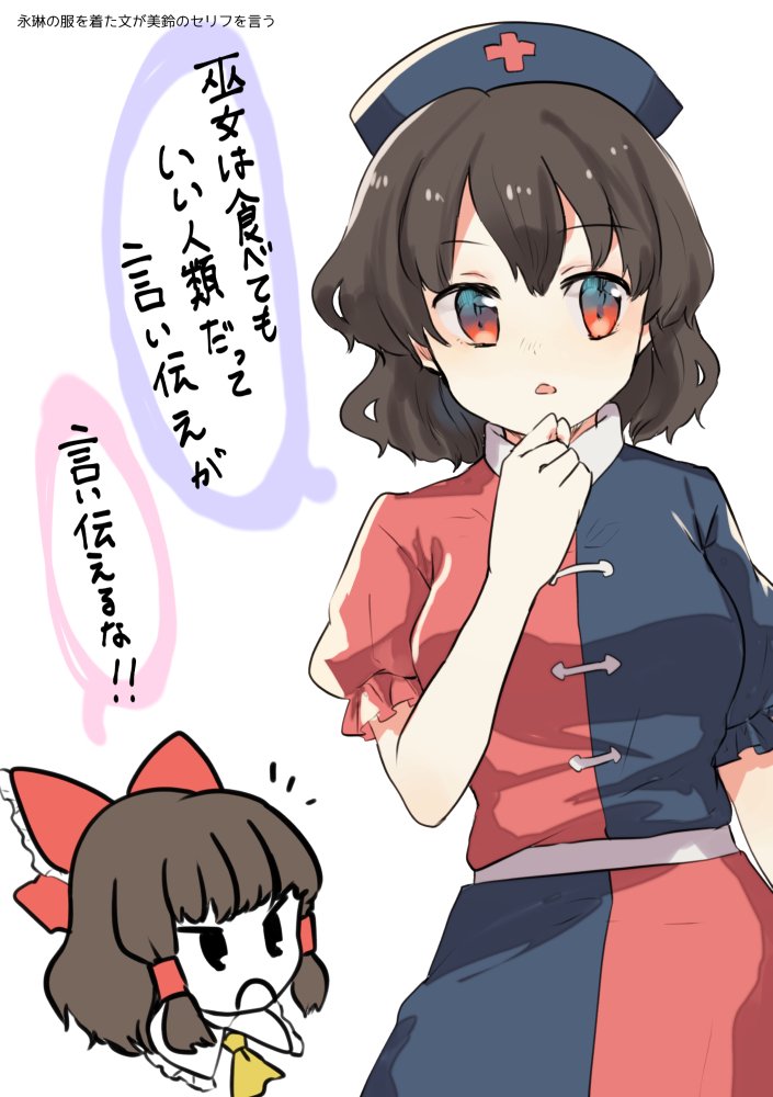 #1番目にリプきたキャラに2番目にきたキャラの服を着せて3番目にきたキャラのセリフを言わせる 文に永琳の服を着せて美鈴のセリフを言わせた 
