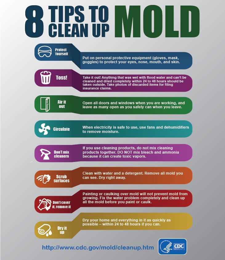 A graphic from the CDC on cleaning up mold. Key tips include wearing personal protective equipment like gloves, mask, and goggles, take out anything at was wet with flood water and can't be dried within 24 to 48 hours, and cleaning with water and detergent.