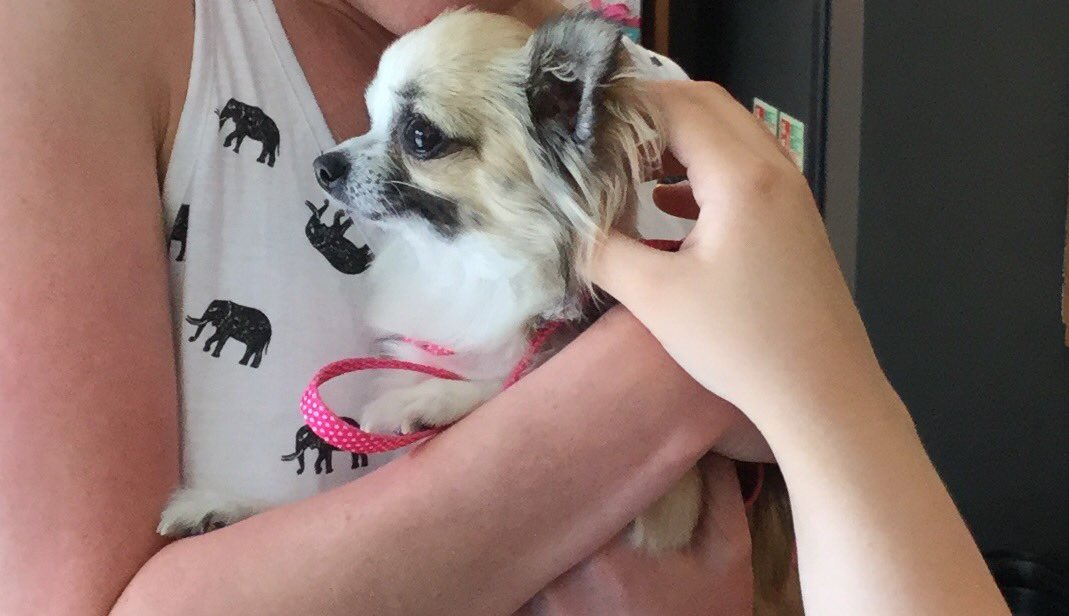 Friendly reminder that we're pet friendly! Come and bring in your little friends, we ask provide treats and water! ✨🐶