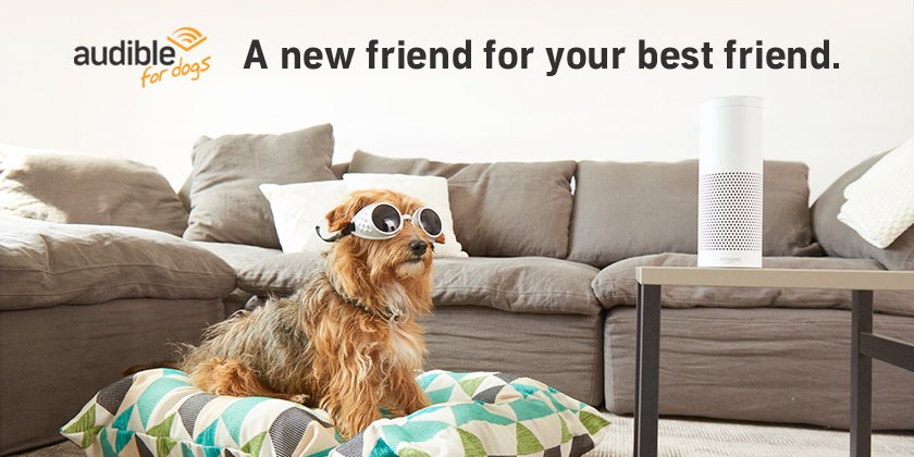 audible_com's tweet photo. Home but never alone. Learn how Audible can make your dog calmer and happier: https://t.co/AKQHZZeohl #AudibleForDogs https://t.co/TLe0FuK2T6
