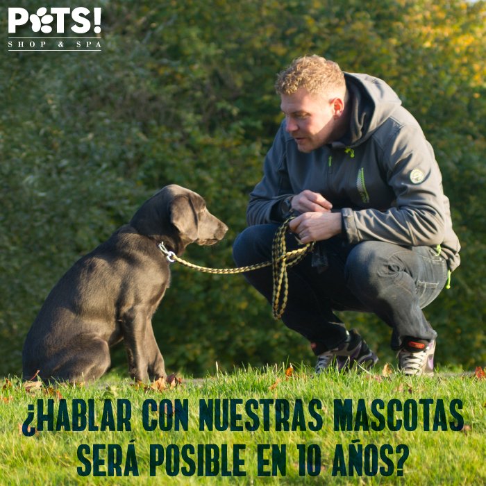 PetsShopandSpa's tweet photo. ¿Sabías que Amazon está creando un dispositivo que estará listo en 10 años y con el cual podrás mantener una conversación con tu mascota? https://t.co/RCdA1wdihn