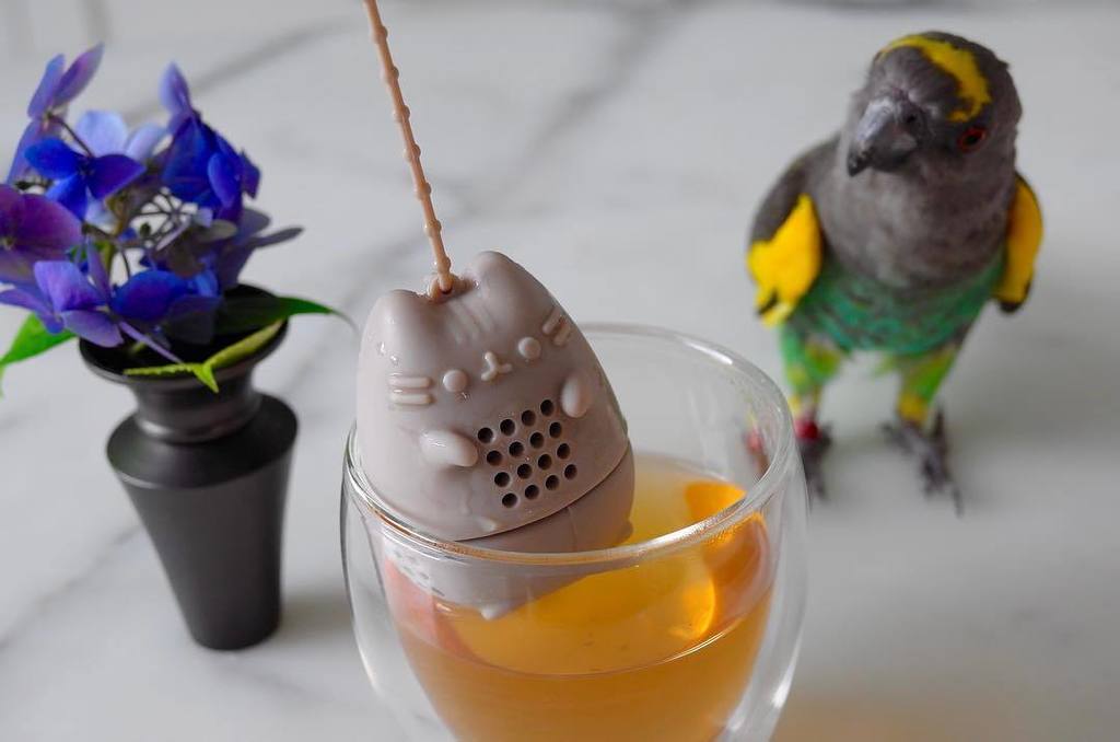 Cakebrain's tweet photo. 🐱🍵🐦
Happy Caturday!
•
Have a Great weekend everyone!
•
Silver Pearls White Tea in my Pusheen tea infuser
•
#pushee… https://t.co/tDJLrZOyPo https://t.co/0UWJsEobNn