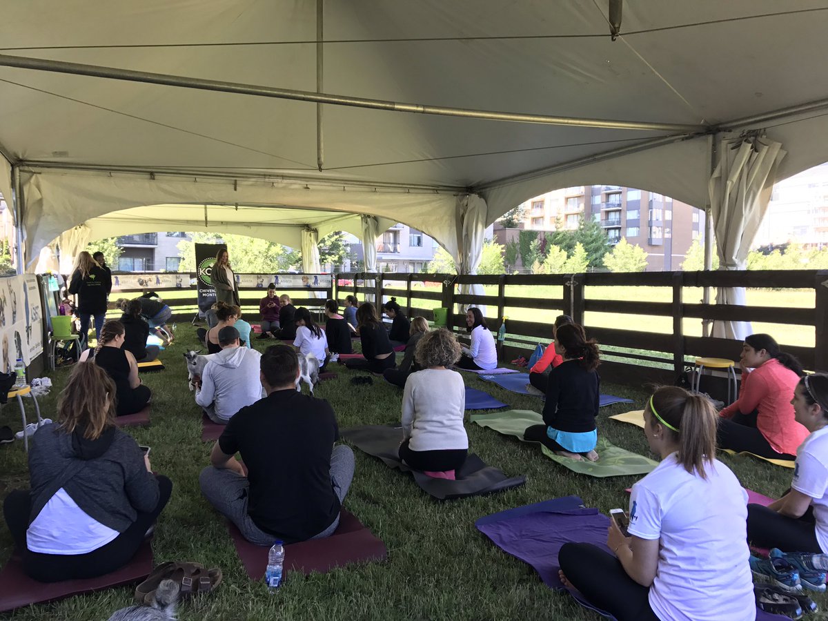 chivenationmtl's tweet photo. Day 3, here! We! Go! #GoatYoga #ChiveNation #KCCO https://t.co/1Ldj4phr32