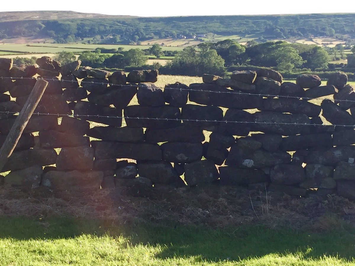 TheOldJetWorks1's tweet photo. A wall with a view! My new favourite pub #fox&amp;hounds in Ainthorpe https://t.co/55ofZn08YT