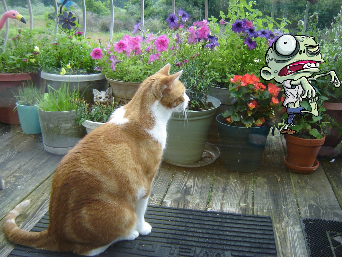 aurora3s's tweet photo. #zzst   Goin after this mean zombie man   Grrrrrr  Goin a get him good!  PFFT https://t.co/80KknsoOx2
