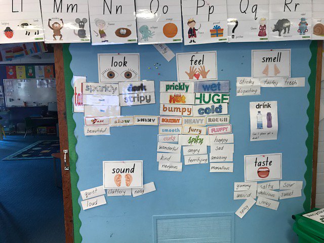 _MissYilmaz's tweet photo. Awesome word walls in the Kindy Rooms! #Acuedu_p https://t.co/8P0CrwAsVB