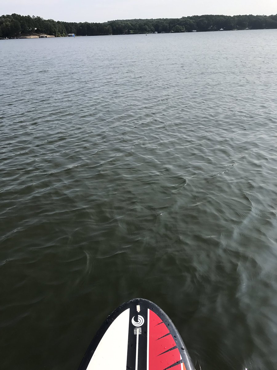 MarathonKoach's tweet photo. Not saying paddle boarding is easy for me, but it's easier since I found and fixed the broken big fin! Been  riding #rutterless #morestable https://t.co/h07TfKJhNG