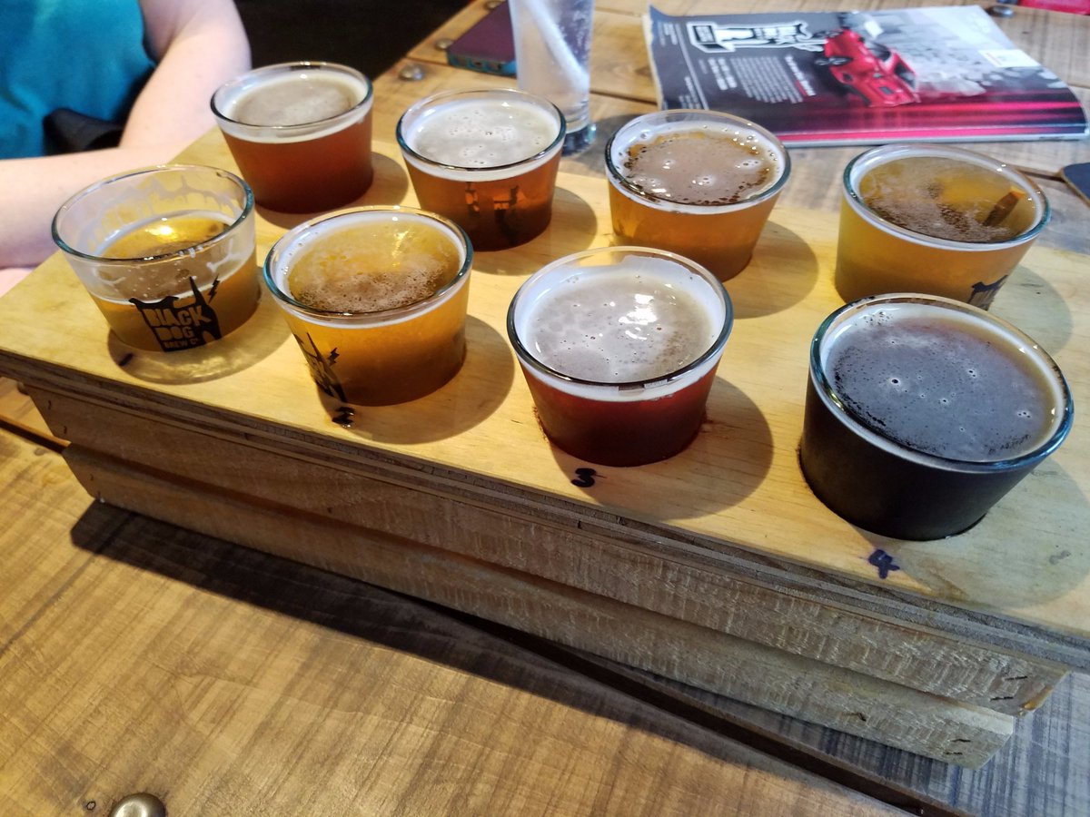 cslarsen's tweet photo. @BlackDogBrewCo Wellington New Zealand. Couldn't resist buying shirt and drinking beer. Boneyard IPA is the best! #newzealand #beer #brewery https://t.co/uDhDyQvQ2J