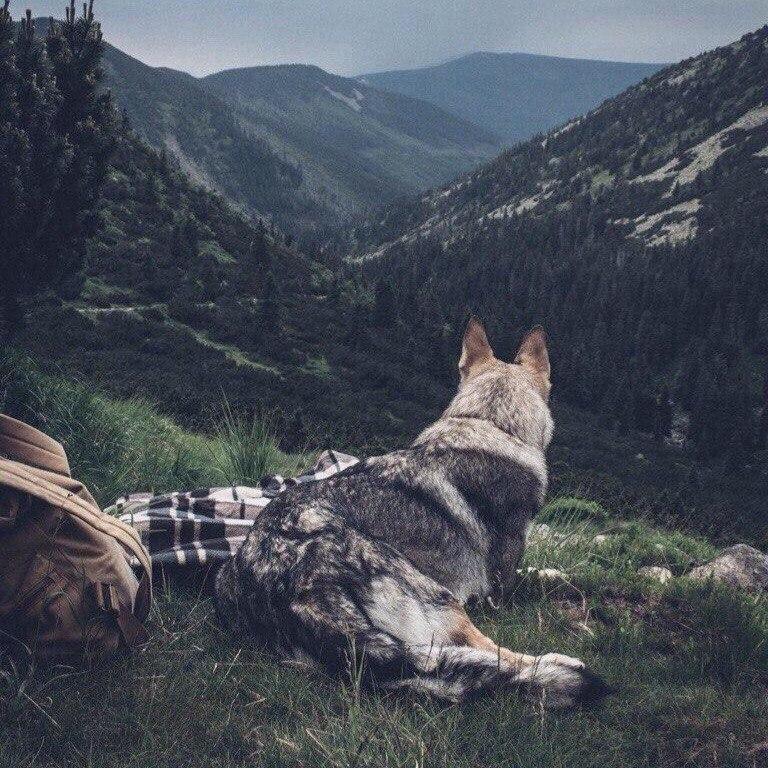 aleksandra_blv's tweet photo. Как же красивооо 🌿✨ https://t.co/hTQhKL1cGV