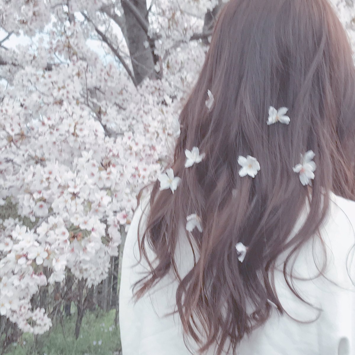 syuka__oO's tweet photo. タグ~~❕🌼

"田舎の高校2年生してます🍃"

・とりあえずけーぽは雑食🇰🇷
・コスメ集めるのが大好き。

この2つの為にバイトしてるって感じです。はい。👅

#関西人
#雰囲気嫌いじゃないよって人RT 
#らぶりつ 待ってます🤙🏻❤️ https://t.co/q6y49NHu5w