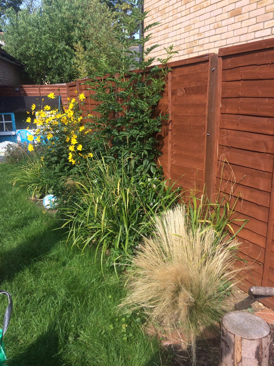 NJS_2012's tweet photo. Before and after. The big end of summer cut back completed in the ☀️ (taps aff) https://t.co/dvz2OHHqoD