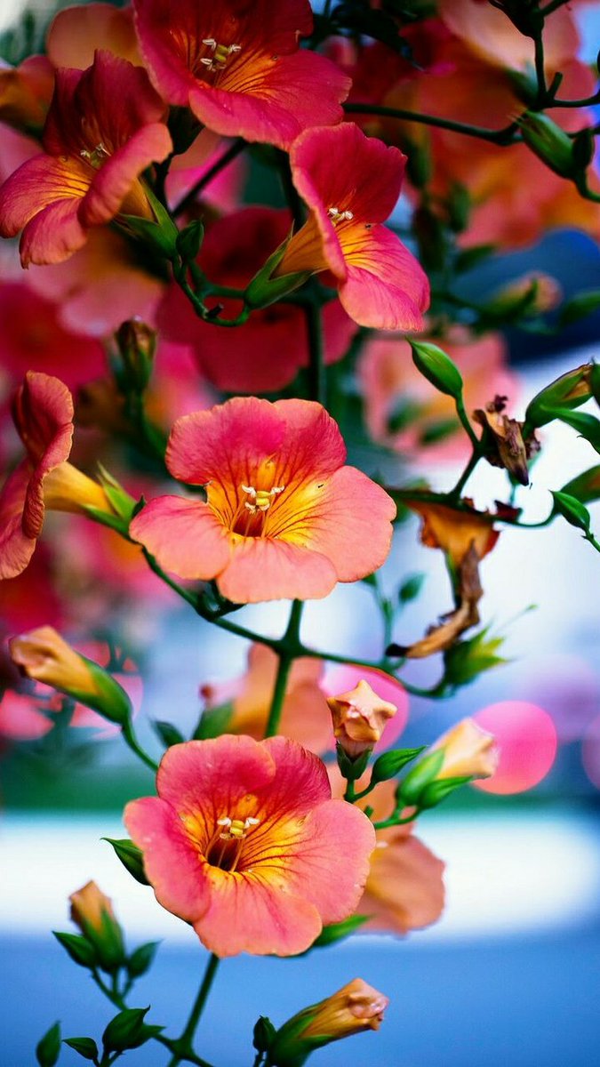 masl9ln1's tweet photo. @FaisalA69160565  https://t.co/83eJ30PHSe