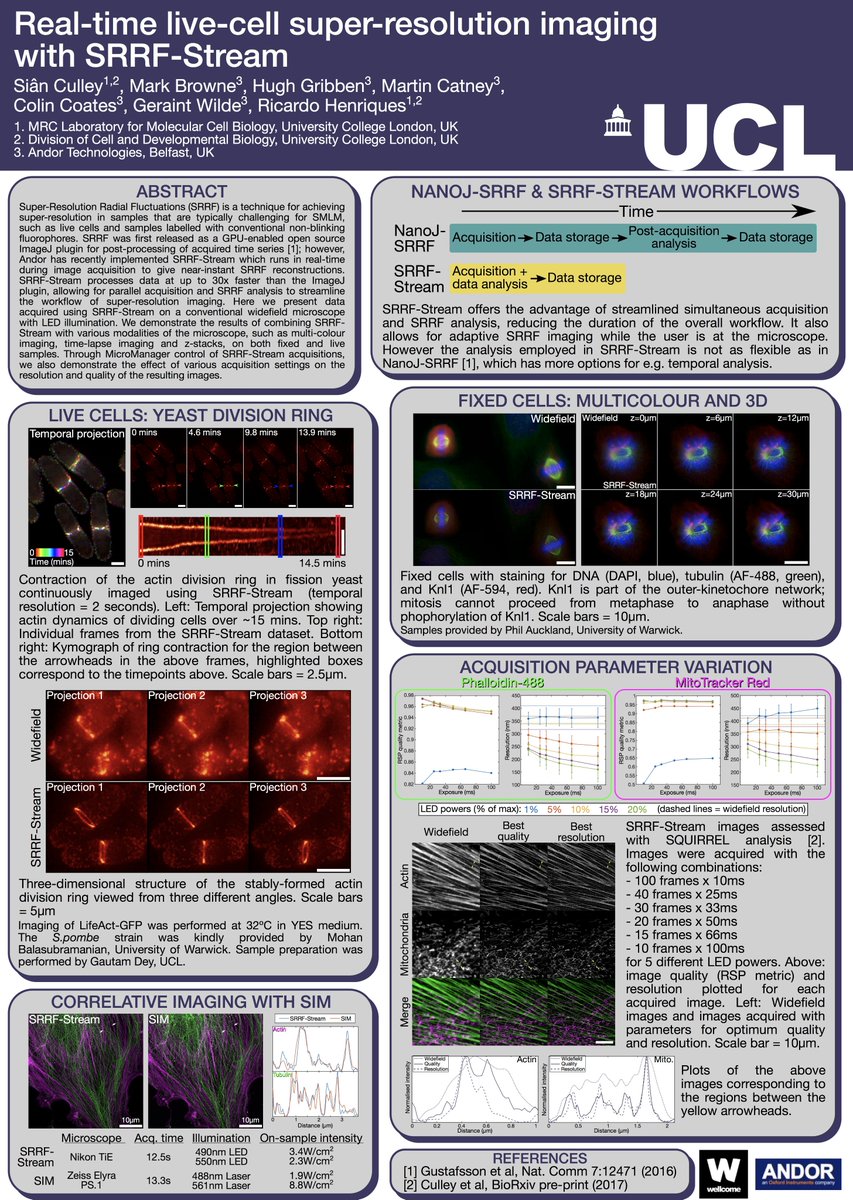 HenriquesLab's tweet photo. On the #SRRF-Stream poster from #SMLMS2017, last panel shows #NanoJSQUIRREL guiding SRRF to achieve optimal SR https://t.co/87cpFncCxL https://t.co/Aw9TgfHZem