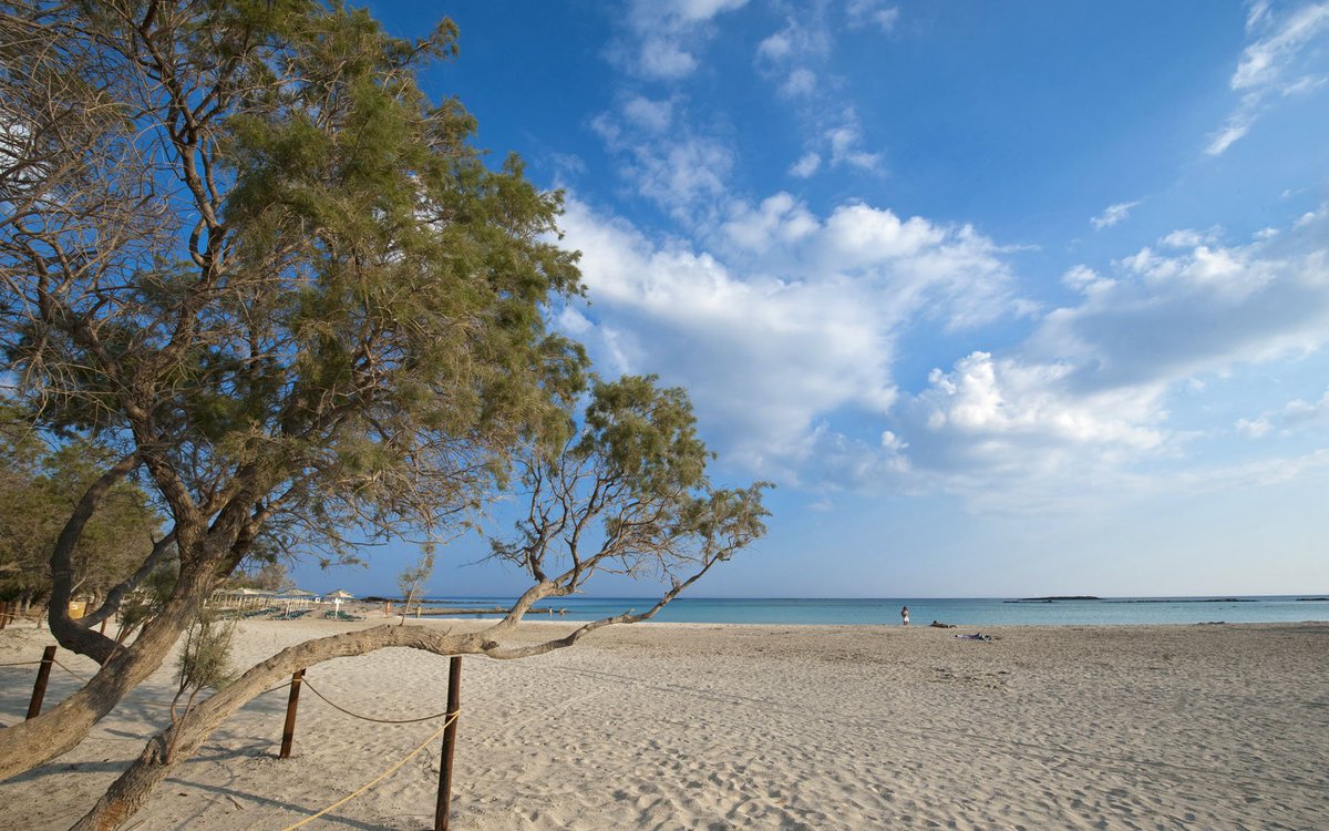 mesogiosbeach's tweet photo. Have a nice month from Mesogios beach hotel! September has arrived!
#mesogiosbeach #kissamos #chania #crete #visitcrete #visitgreece #greece https://t.co/u5zevUguVm