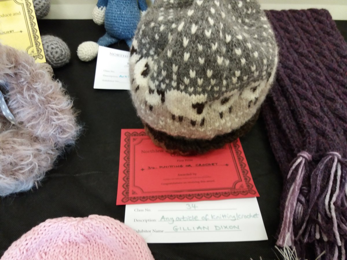 SouthYeoEast's tweet photo. Won a 1st for my knitted sheep Ba'ble hat and it went on to receive the top prize for best item in show! #BitChuffed https://t.co/z6EAtUgShR
