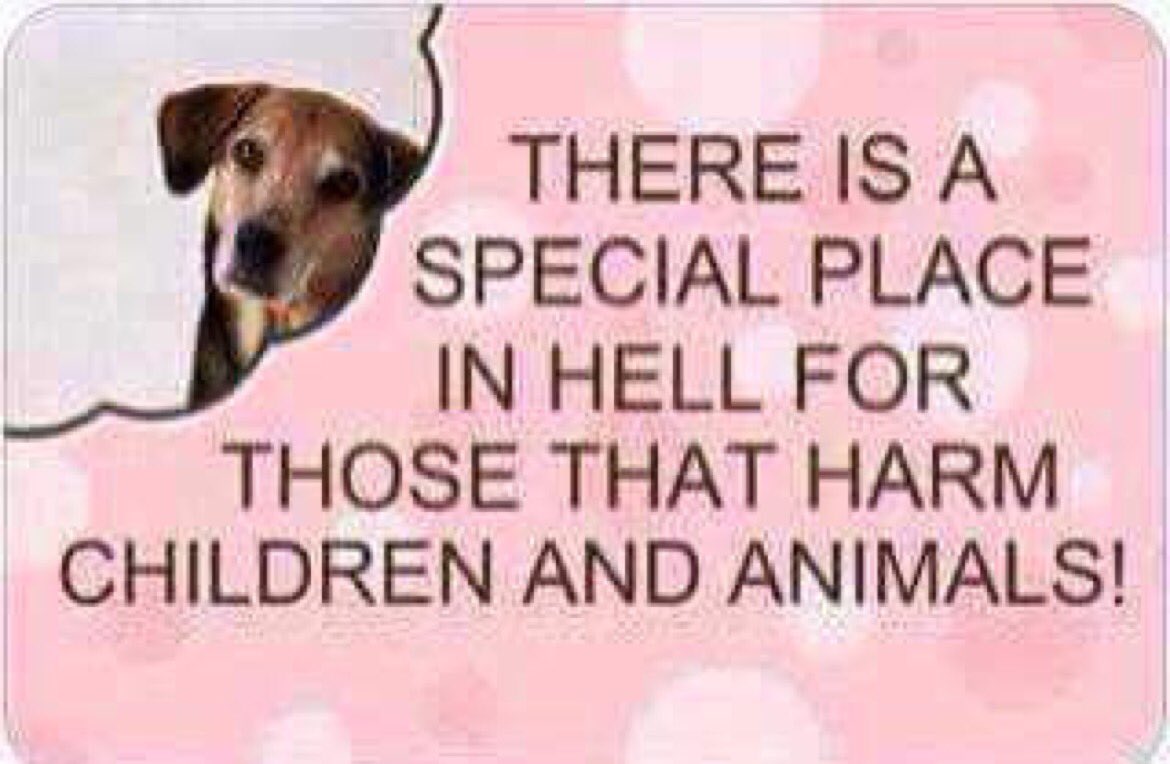 SupportPets's tweet photo. Let's use this #FreeTrait w/ a True WIT Contagious Attitude to help all #Animals being exploited by the lack of humanity! #RTIsFree !#Adop https://t.co/25dFlEHxpl