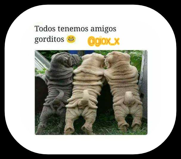 giox_x's tweet photo. #FelizSabado #SabadoDeGanarSeguidores #ItalianGP #SaturdayMorning #AMJoy #RuinABookTitleInOneLetter #Rusia2018 #DaleRT #DaleFollow https://t.co/nq6GiJossi